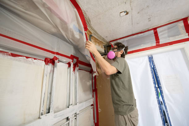 Trusted Slater, IA Mold Removal Experts